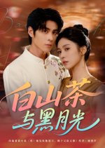 Bai Shan Cha Yu Hei Yue Guang Chinese Drama(2025) photo