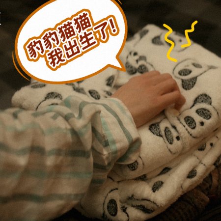 Love on the Turquoise Land (2025)