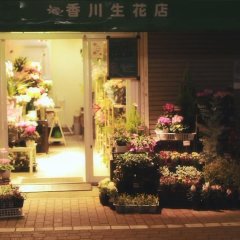 Nazo no Tenkousei Japanese Drama photo