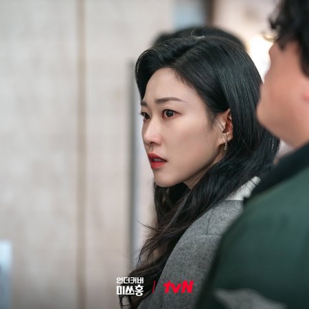 Undercover Miss Hong (2026)