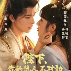 The Emperor's New Foe Chinese Drama(2025) photo