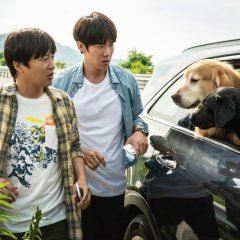 My Heart Puppy Korean Movie photo