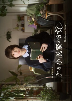 The Diary of a Novelist (2026) poster