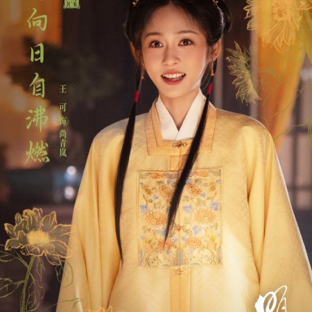 A Ming Dynasty Adventure ()