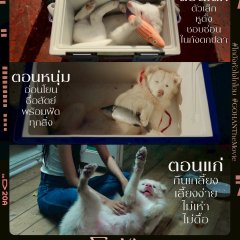 Gohan Thai Movie photo