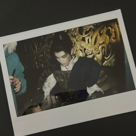 The Palace Stewardess ()