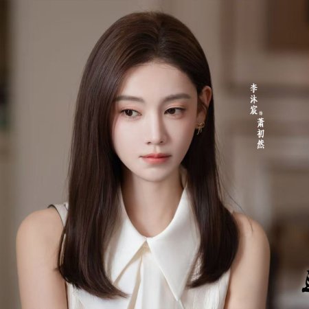 The Hidden Heir Ye Chen (2026)