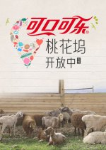 Wonderland Junior Season 4 Chinese TV Program(2025) photo