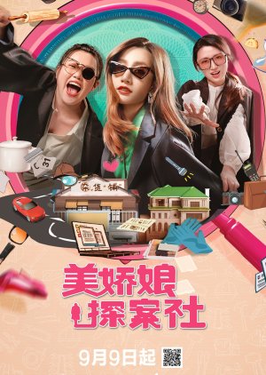 The Beautiful Lady Detective Agency poster