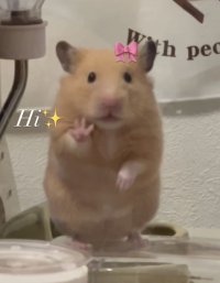 I miss posting on my feeds how is everyone doing ₍ᐢ. .ᐢ₎ ₊˚⊹♡