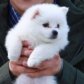 Yoon Jae