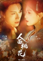 Searching for Love Chinese Drama(2025) photo