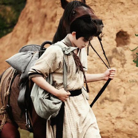 The Road to Splendor ()