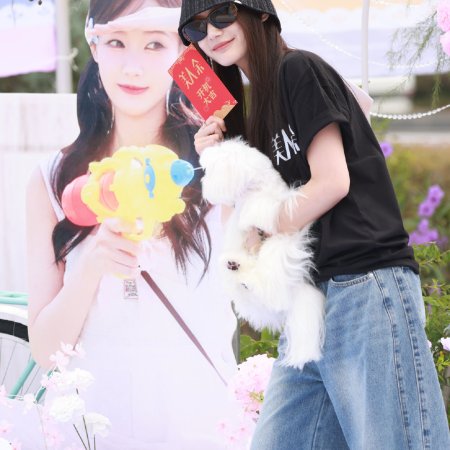 The Vanishing Beauty ()