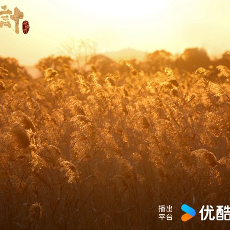 The Vendetta of An (2025)