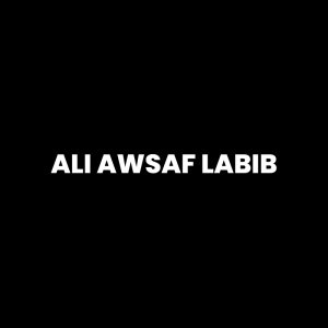 Ali Awsaf Labib