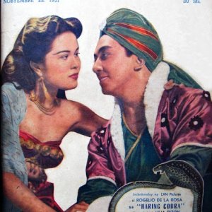 Haring Cobra (1951)