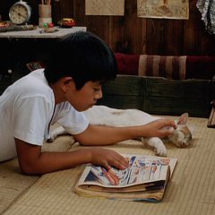 Shimanto River Japanese Movie photo