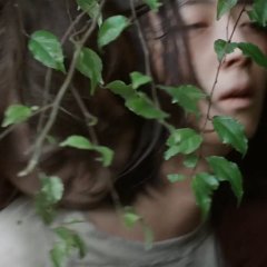 Forest Debussy Taiwanese Movie photo