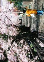 Ten Japanese Movie(2024) photo