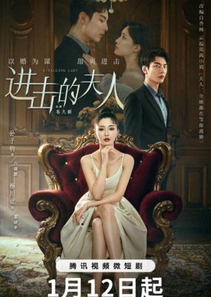Jin Ji De Fu Ren (2024) poster