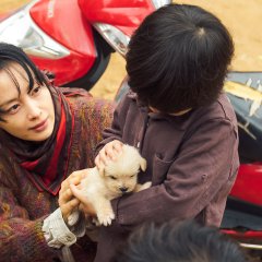 Beautiful Days Korean Movie photo