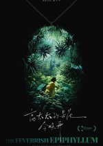 The Feverish Epiphyllum Chinese Movie photo