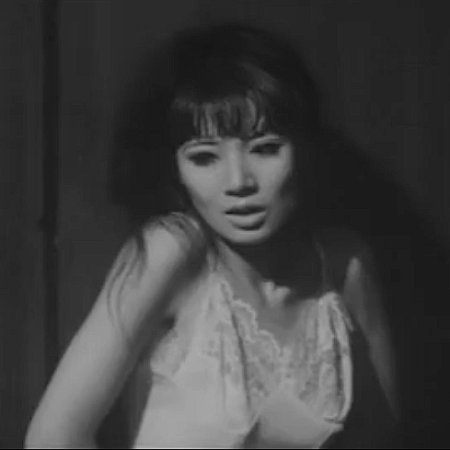 Yoru no Mesuinu (1966)