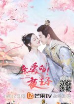 Dear Night Prince Chinese Drama photo
