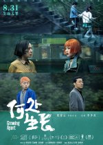 Growing Apart Chinese Movie photo