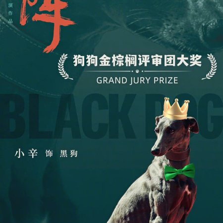 Black Dog (2024)