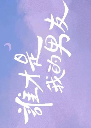 Shei Cai Shi Wo De Nan You () poster