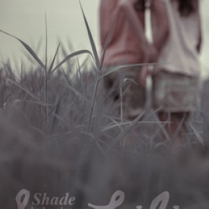Shade ()