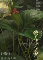 Ornithophobia Chinese Movie photo