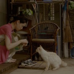Rent-a-Cat Japanese Movie photo
