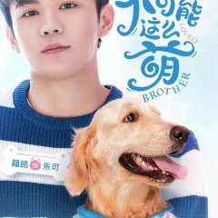 Lovely Brother Chinese Drama photo