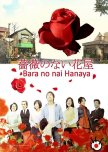 Bara no nai Hanaya japanese drama review