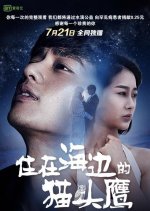 The Smiling Owl Chinese Movie photo