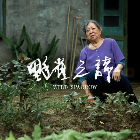 Wild Sparrow (2020)