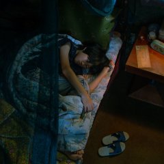 Wild Sparrow Taiwanese Movie photo