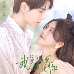 I Wait for the Sea Breeze to Hug You Chinese Drama photo