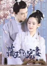 Fan Wang De Xiao Chong Qi Chinese Drama photo