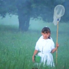 The Linden Tree Japanese Movie photo