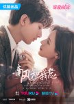South Wind Knows chinese drama review
