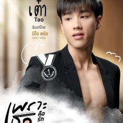 A Love So Beautiful Thai Drama photo