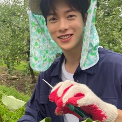 Love Tractor Korean Drama photo