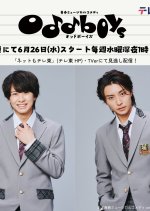 Seishun Musical Comedy Oddboys Japanese Drama photo