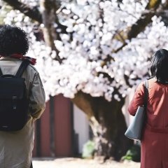 Mystery to Iunakare (2022) photo