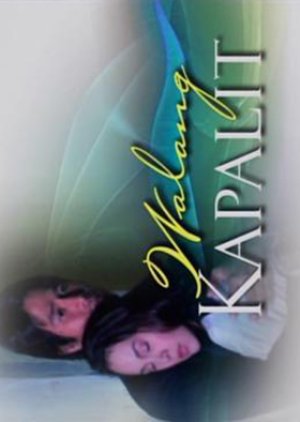 Walang Kapalit (2007) poster