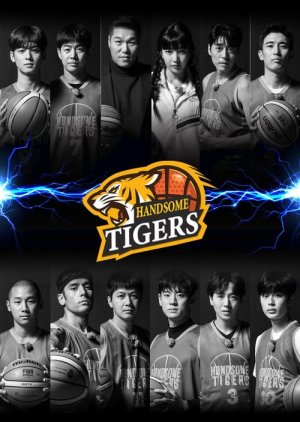Handsome Tigers SP (2020) poster
